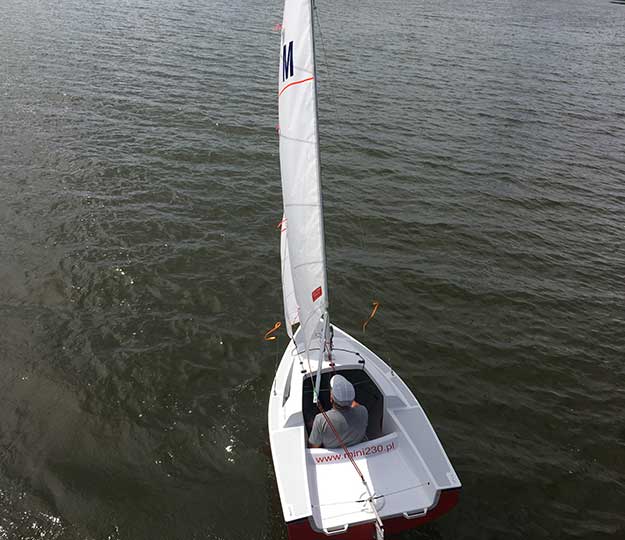 mini 230 sailboat